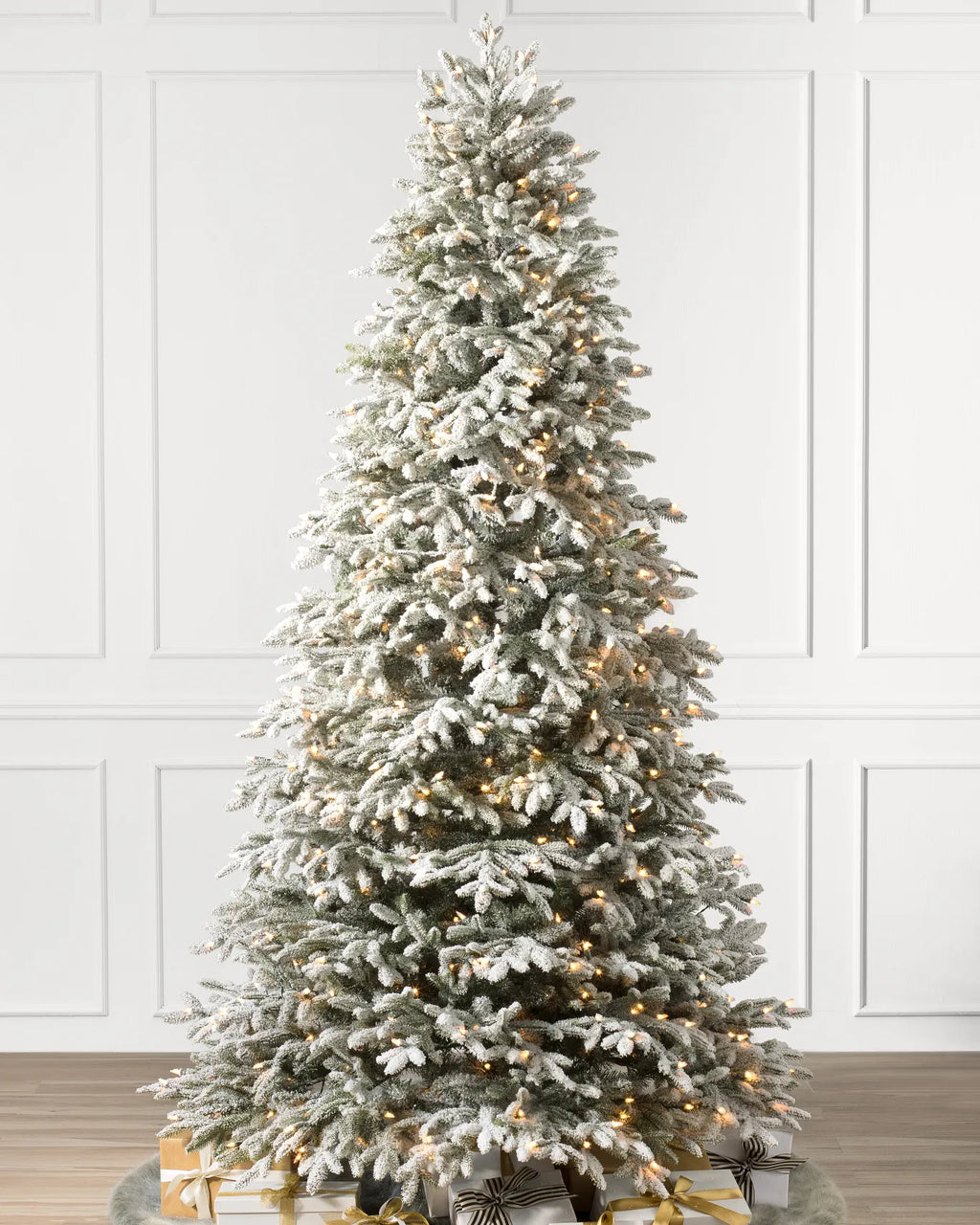 BH Frosted Fraser Fir Trees