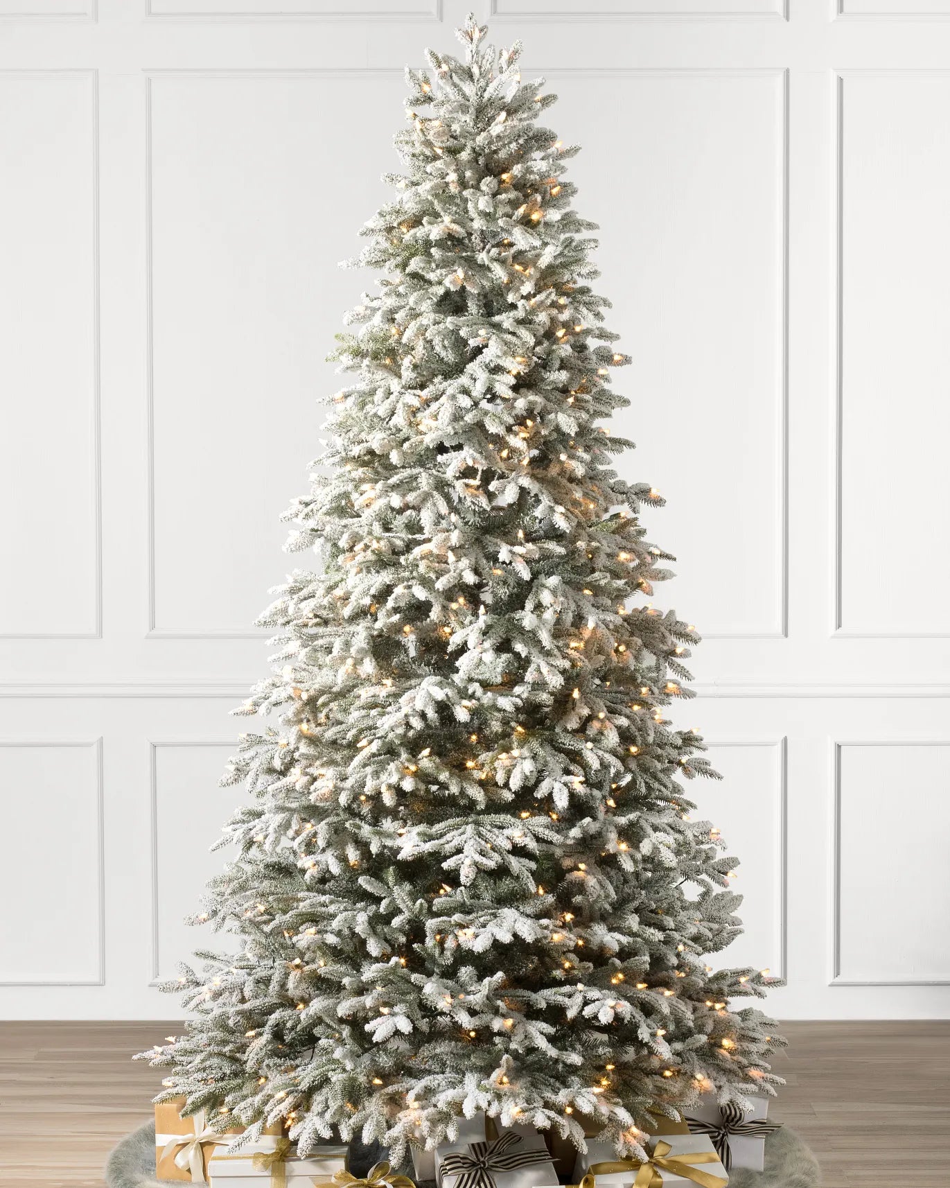 BH Frosted Fraser Fir Trees