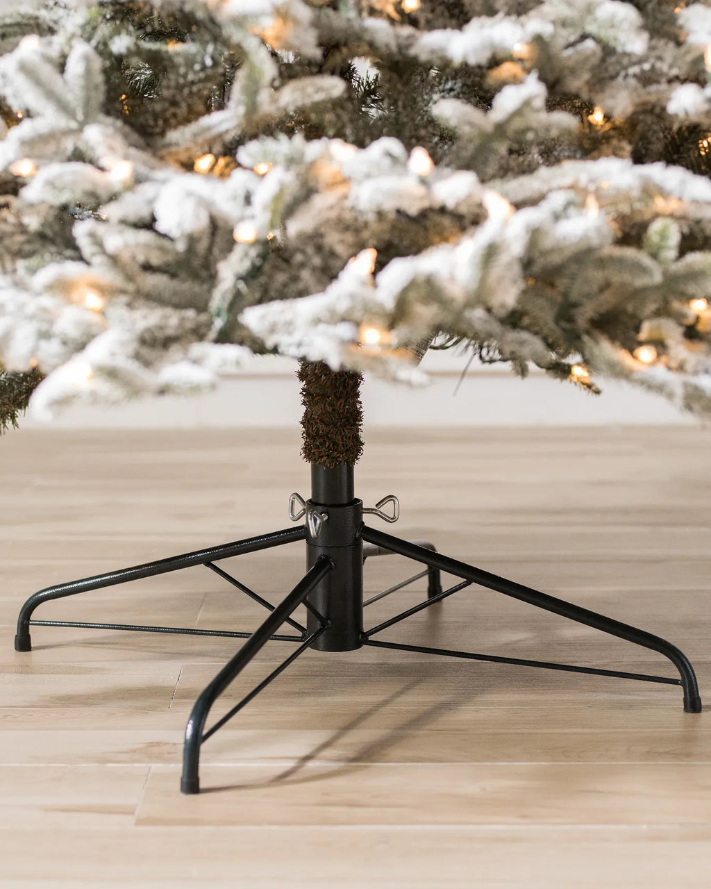 BH Frosted Fraser Fir Trees