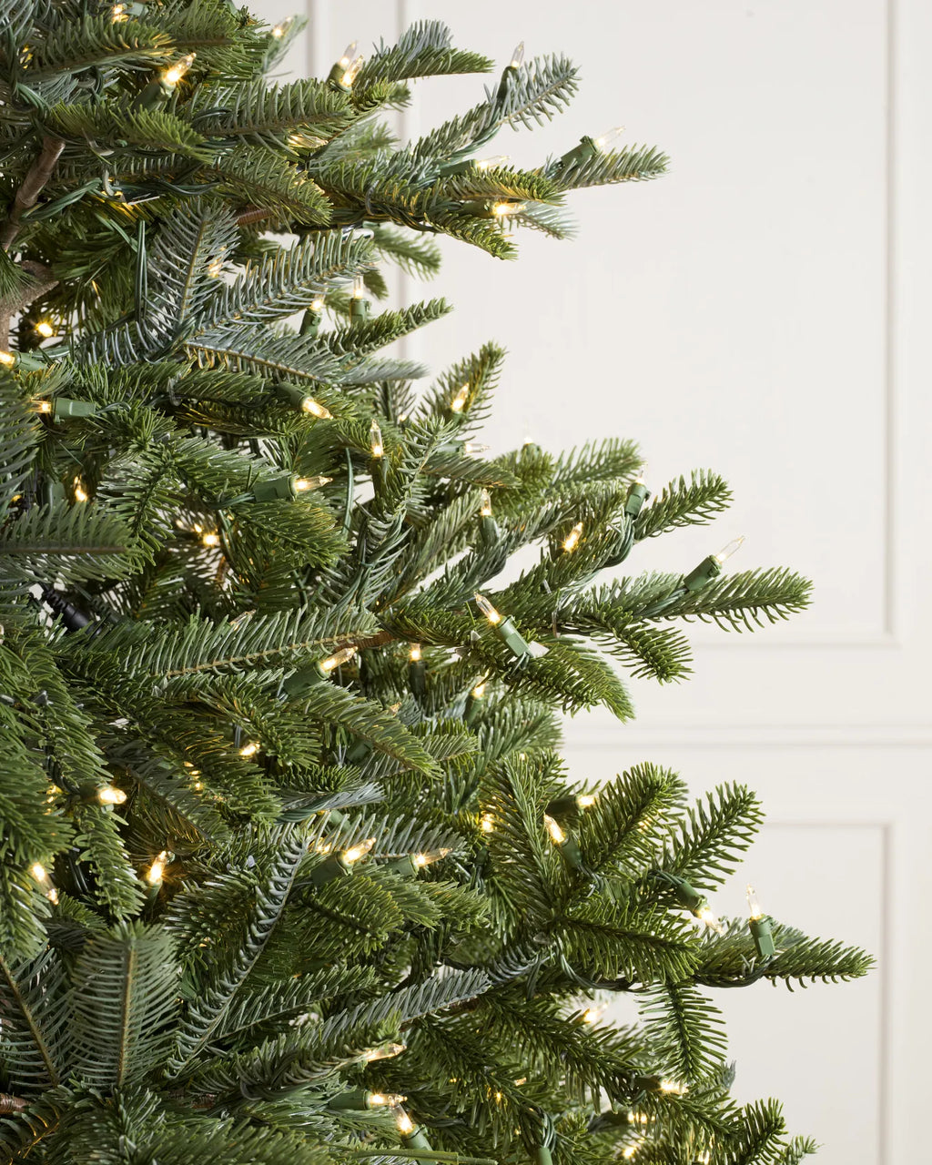 BH Nordmann Fir Trees