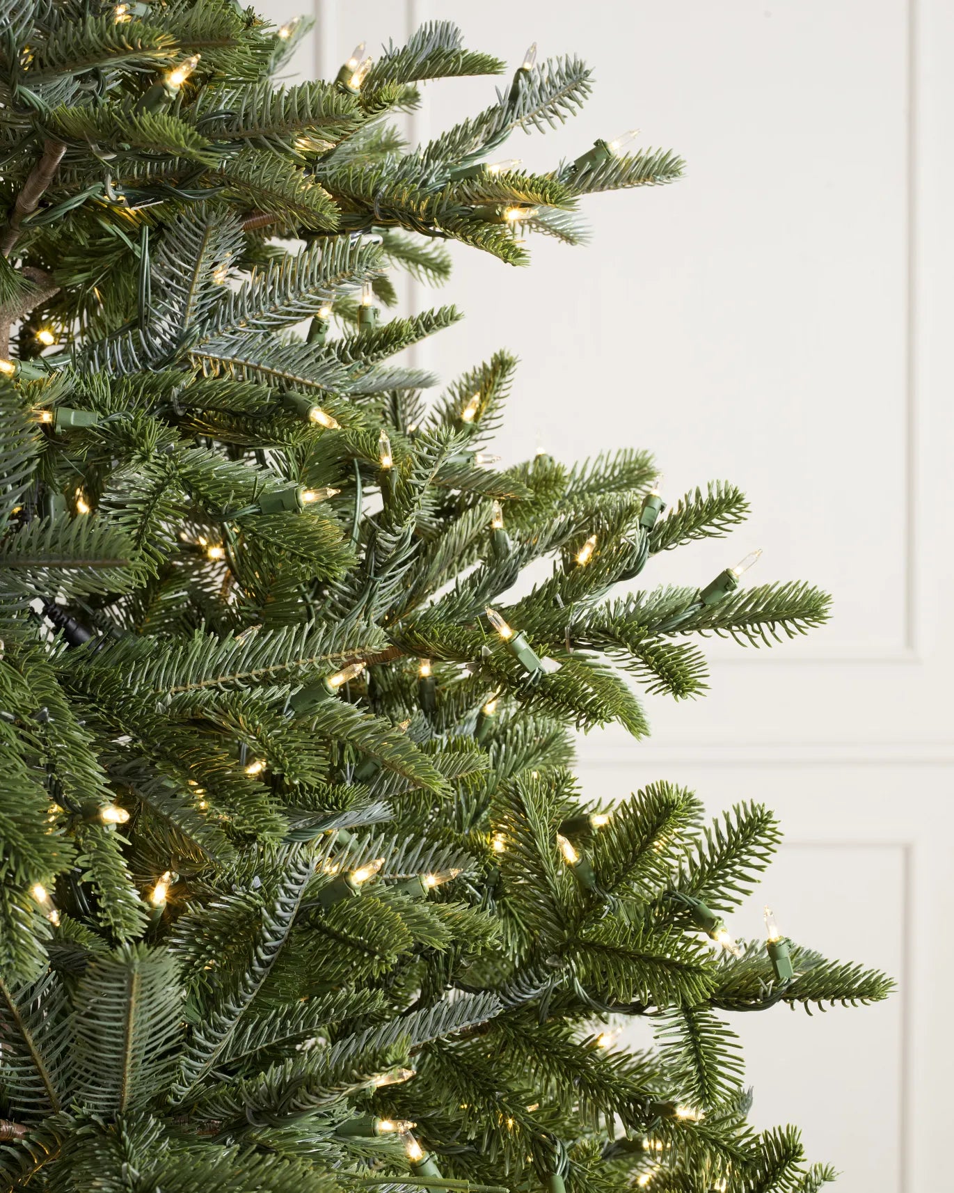 BH Nordmann Fir Trees