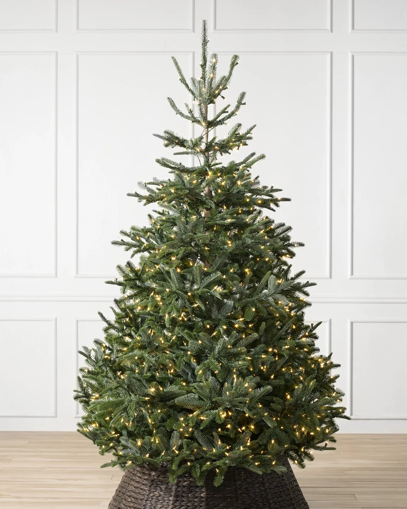 BH Nordmann Fir Trees