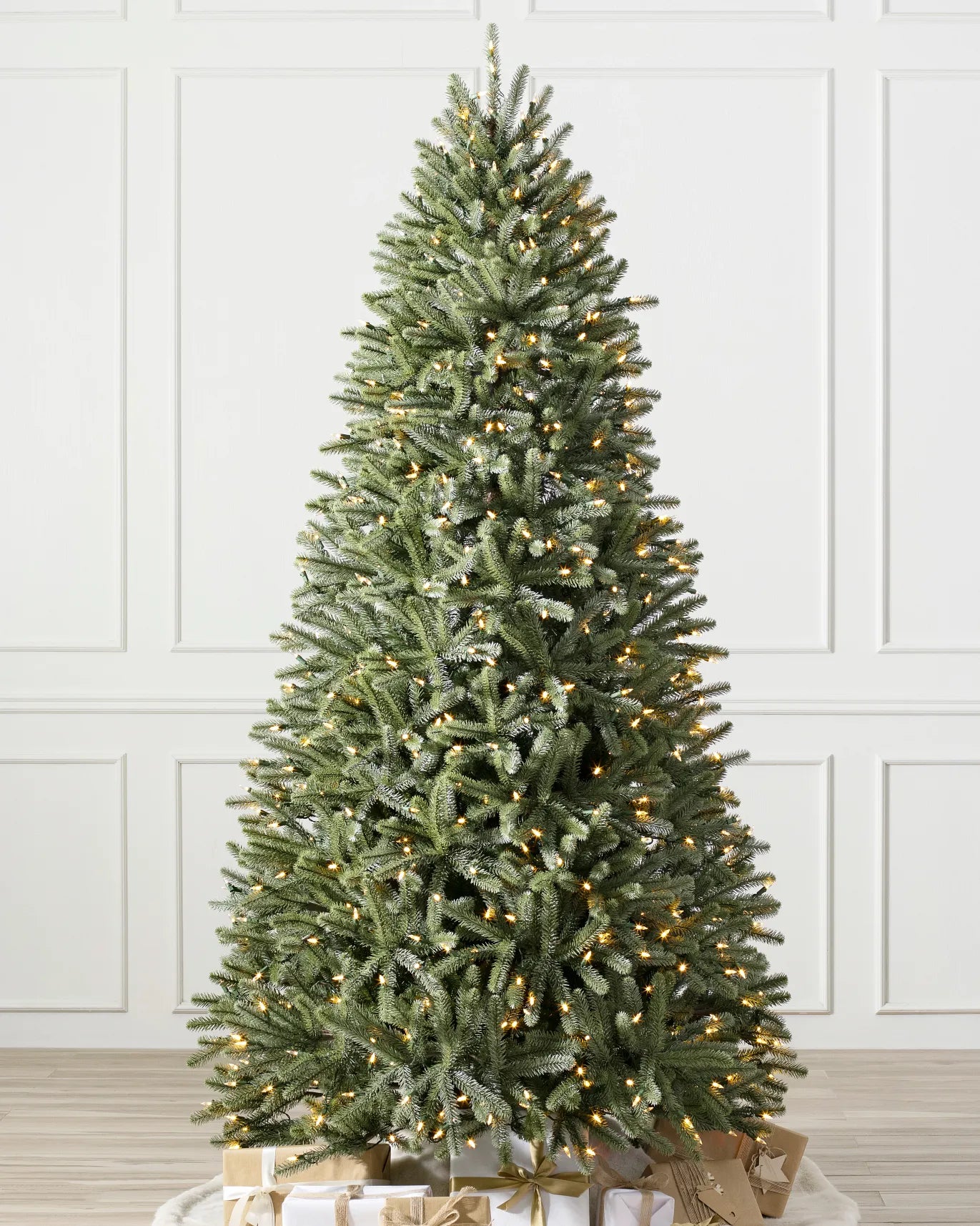 Royal Blue Spruce Tree